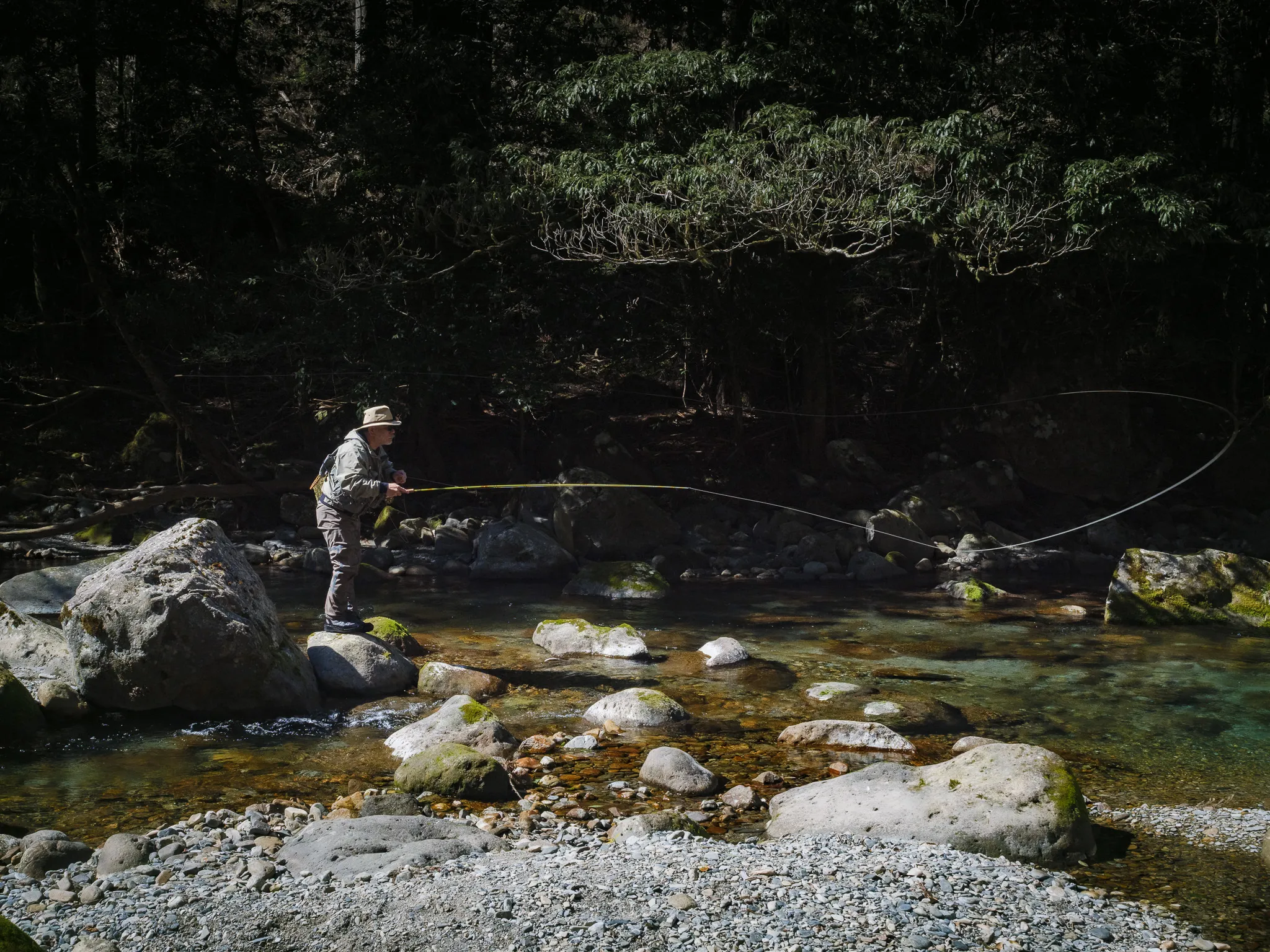 A long fly line looping over a shaded pool