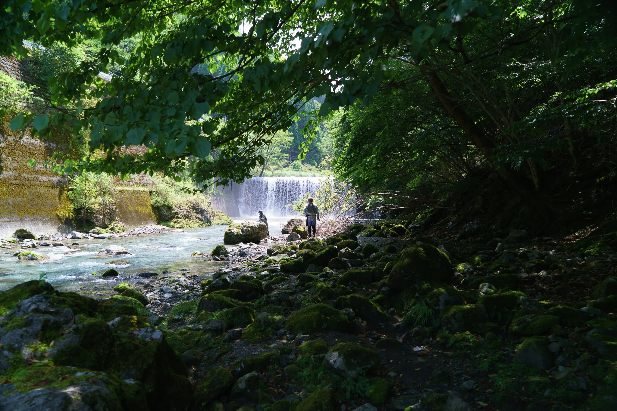 Two anglers below a waterfall, seen through the trees